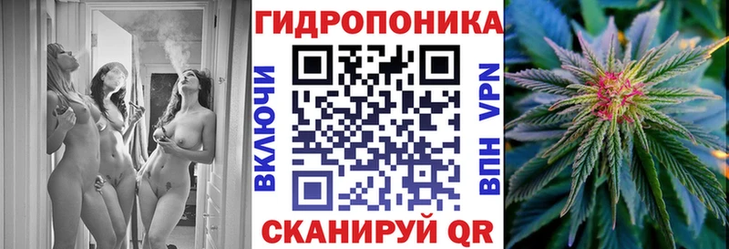 Марихуана White Widow  где купить наркоту  Болотное 